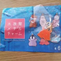 水族館メタルチャーム　メンダコ