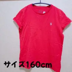 POLO RALPH LAUREN 赤 Tシャツ XL(16)