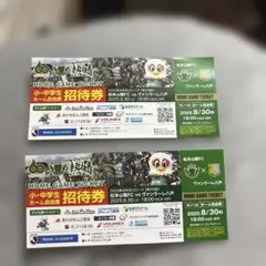 HOME GAME TICKET