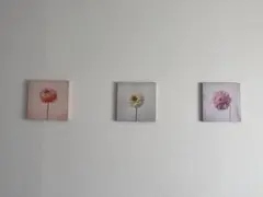 フランフラン　ウォールアート　アートキャンバス