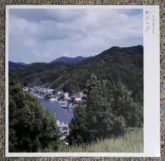 パーマネント野ばら　　福原まり