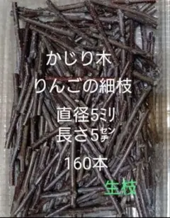 Item thumbnail for item 444d973c-7800-4a44-a3bb-c74aac4e3b6b