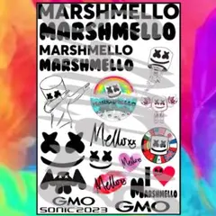 GMO SONIC★marshmello★タトゥーシール2