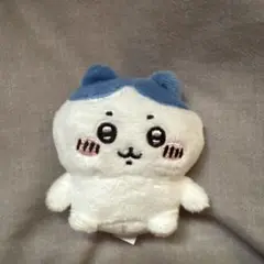 ちいかわ　ガチャガチャ　ハチワレ