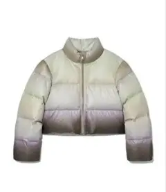 Item thumbnail for item dbd9924f-1541-4648-9e16-6ed7994733fb