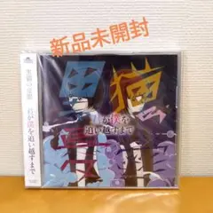 黒猫の憂鬱/君が僕を追い越すまで 【CD】レア