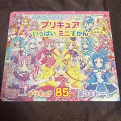 プリキュアオールスターズ プリキュア いっぱい ミニずかん 2025