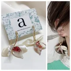 Item thumbnail for item 1c8c9ab3-696c-4148-a7fb-ff801ecb329e