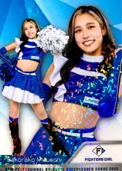Item thumbnail for item 73e4a0ef-a560-4e43-b3c5-018aa3bebe13