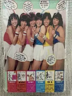 新品　昭和アイドル　イメージオマージュアルミプレートブリキ看板①