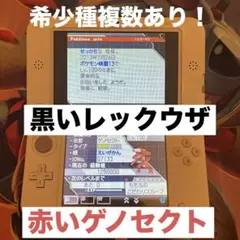 ニンテンドーDS ポケットモンスター　ホワイト2 ソフトのみ　映画　限定