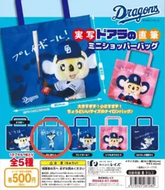 実写ドアラの直筆ミニショッパーバッグ 　前に進もう　ガチャ