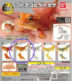 フトアゴヒゲトカゲ　イエロー　いきもの大図鑑レプティ フトアゴヒゲトカゲ