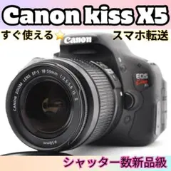 Item thumbnail for item cf80bd56-06ab-41ca-85e8-02f55012dcc3