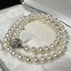 Item thumbnail for item 9a0f3291-7a0b-4728-a2f7-c0a05d48a3b4