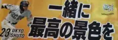 Item thumbnail for item 1f14aaa5-11a7-4d33-8832-c8f4477a3a48