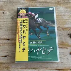ビワハヤヒデ 無敵の兄貴