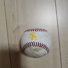 ソフトバンクホークス　練習用球 プロ野球 NPB　プロ野球ボール