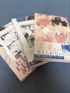 幼馴染じゃ我慢できない 1-3巻セット