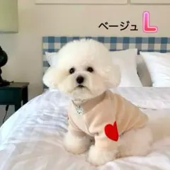 Item thumbnail for item 2dc6e417-d539-4270-832b-d70566b8a4ba