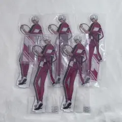 テニプリ ⌇ 新テニ ⌇ アクスタ ⌇ 種ヶ島修二