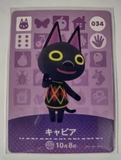 あつまれどうぶつの森 あつ森 どう森 とび森 amiiboカード キャビア