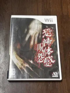 恐怖体感 呪怨 Wii