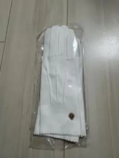 Item thumbnail for item 73bb0848-7f7a-4731-9aea-fc6455c9c787