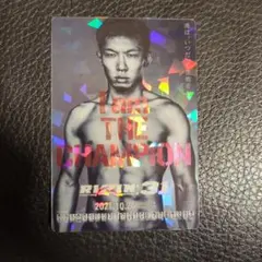 RIZIN ポテトスティック No.12