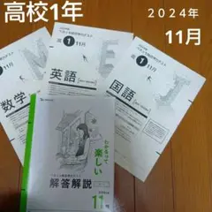 ベネッセ総合学力テスト 2024年11月 ベネッセ模試 高校1年生ベネッセ模試