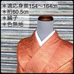 AK-181 綸子 色無地 正絹 広衿 袷 紋無し 着物