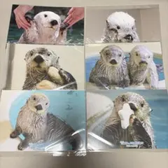 Item thumbnail for item f7a3e12f-cd16-4fa0-ba9c-d7716e823059