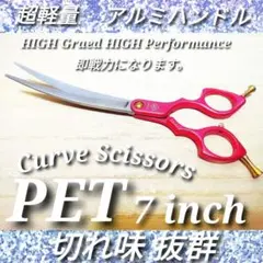 Item thumbnail for item 17aae775-5d0a-4af9-af56-db75d7d32154