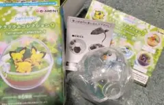 ポケモン　テラリウムコレクション9　ポッチャマ