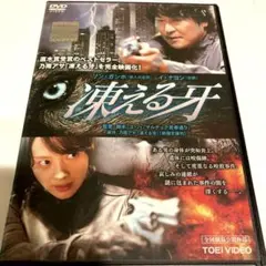 韓国映画『凍える牙('12韓国)』DVD ソン・ガンホ イ・ナヨン 乃南アサ原作