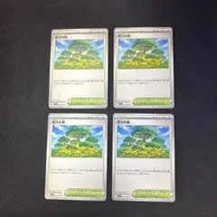 ポケモンカード　活力の森　U 4枚セット