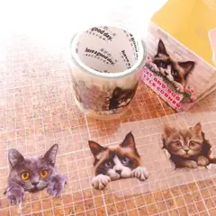 Item thumbnail for item 55be6472-0267-487f-be73-e3c5a439c1f3