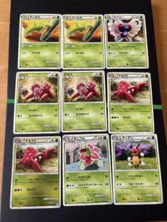 ポケモンカード　確認用　L1