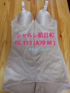 Item thumbnail for item 4fc73267-bb13-48a4-8d3a-2619c3194059