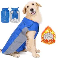 Item thumbnail for item e4cd3e4a-f2bf-4649-ae78-5ace970abeb3