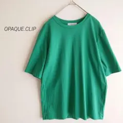 OPAQUE.CLIP アイスタッチシルキーコットンクルーネック Tシャツ 緑