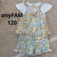 anyFAM セットアップ　120