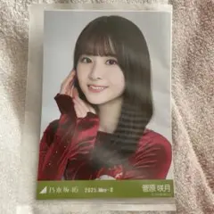 【新品】乃木坂46 菅原咲月 乃木コレ スペシャル衣装46 ヨリ