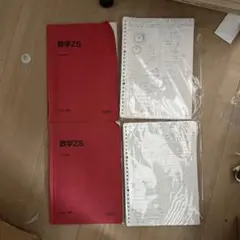 東工大数学(石川先生) 駿台冬季講習　板書付き 東工大数学(石川先生) 駿台冬季講習 板書付き 本