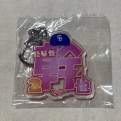中日ドラゴンズ 田中幹也 キーホルダー