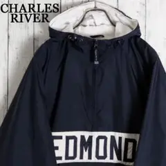 Item thumbnail for item 8238cde3-a62d-46f2-9aa6-21279c4b06d3