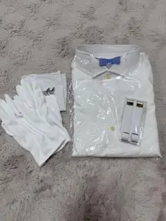 Item thumbnail for item ce9a7ab1-9431-4b20-b9d9-e58c403b7e38