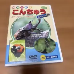 動物大好き こんちゅう スペシャル50