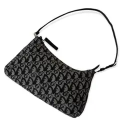 【希少品】クリスチャンディオール トロッター ワンショルダーバッグ ブラック