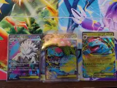 【新品、未使用】メガフシギバナexセット